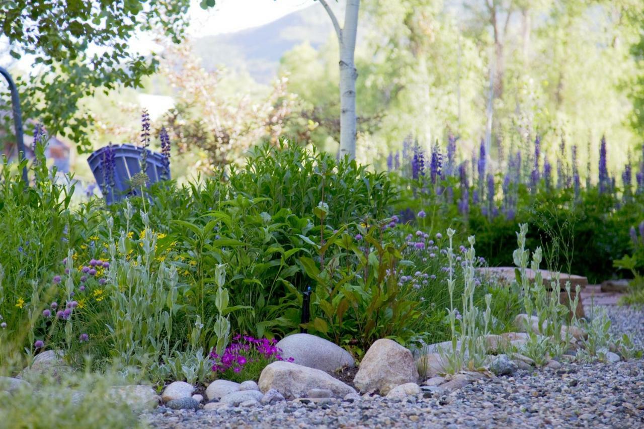 Mariposa Lodge Bed And Breakfast Steamboat Springs Eksteriør bilde